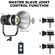 300W Continuous Video Light
