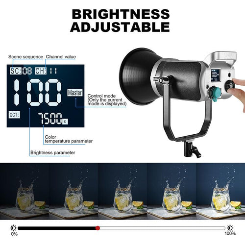 300W Continuous Video Light
