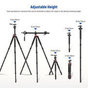 NEEWER Camera Tripod Monopod
