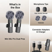 Mini Mic Pro 2026 vF