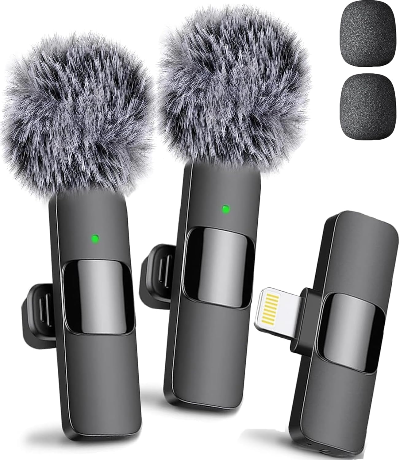 Mini Mic Pro 2026 vF
